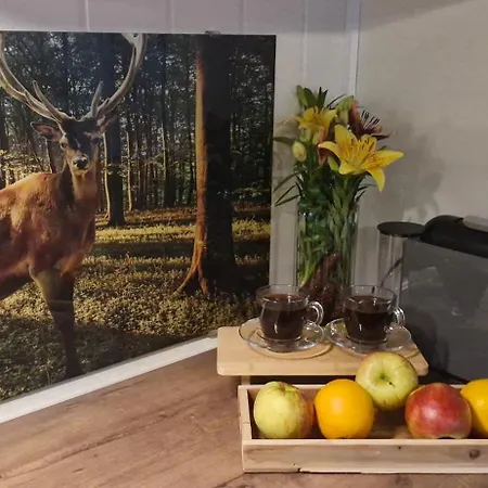 Horská chata Sekowa Chata, Zakopane,
